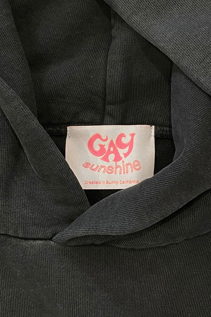 Gay Sunshine Oversized Multi Color Vintage Hoodie