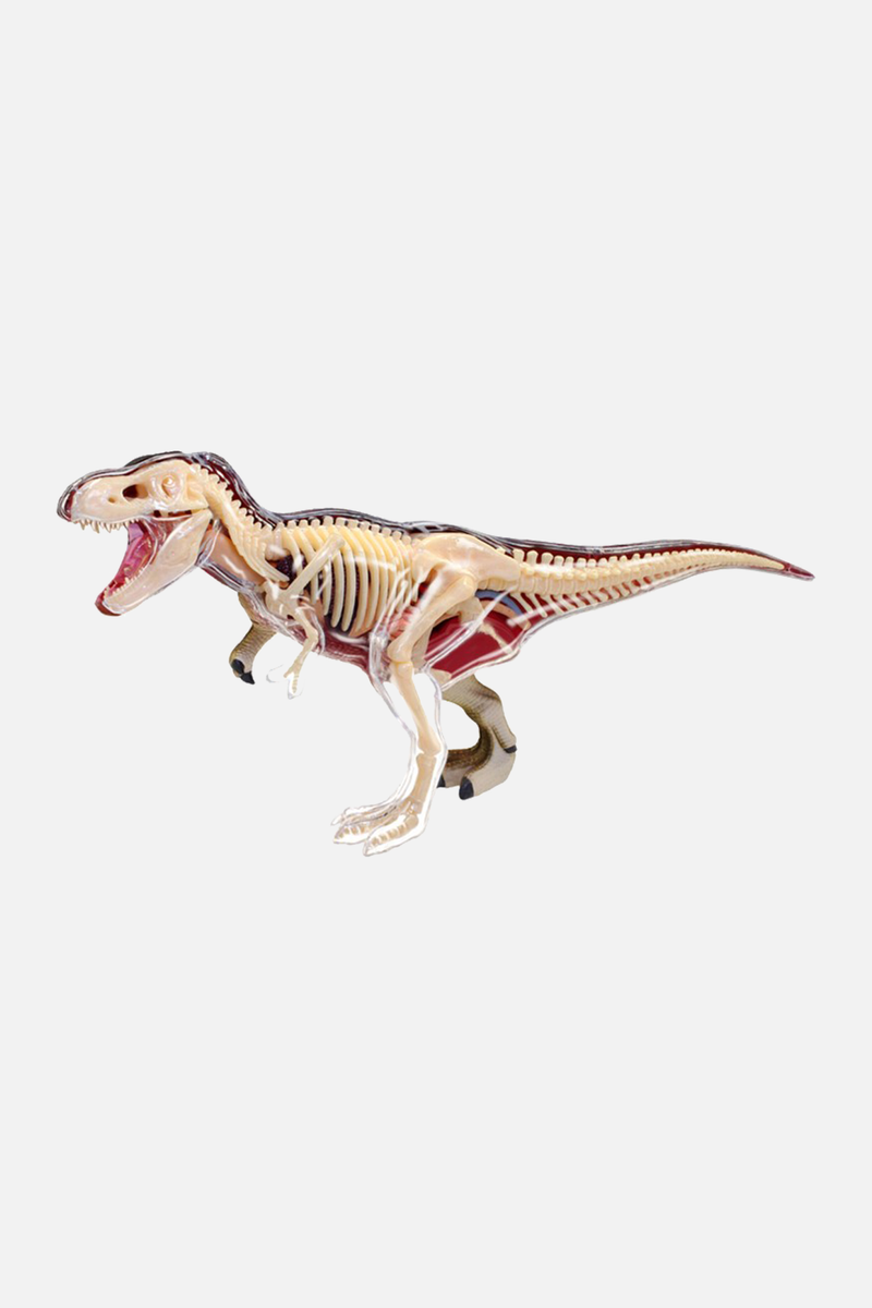 HANSEN 4-D T-Rex Anatomy