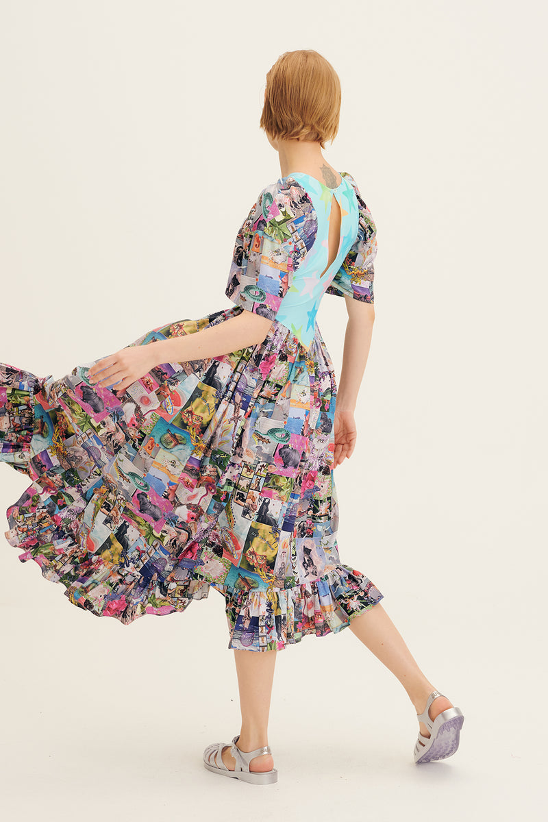 Star Poster Print Pollinate Dress