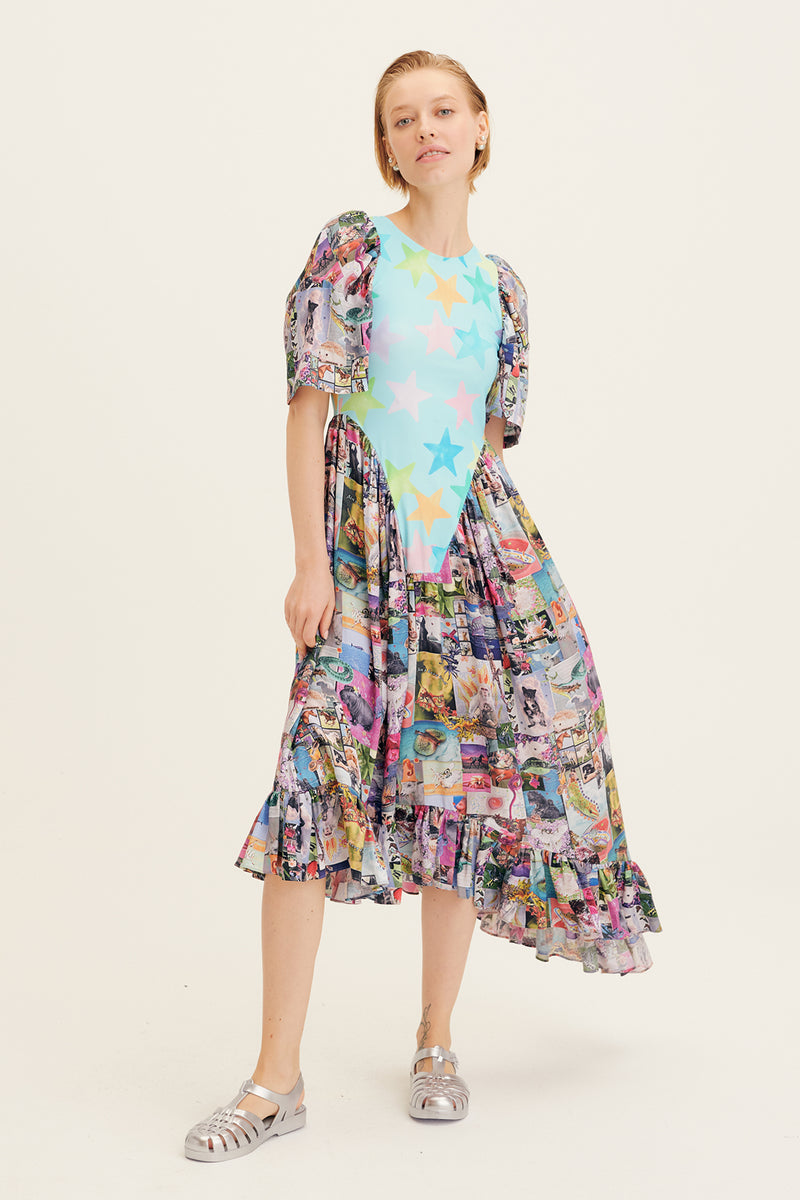 Star Poster Print Pollinate Dress