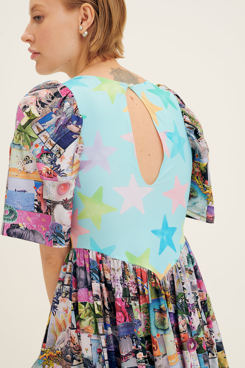 Star Poster Print Pollinate Dress
